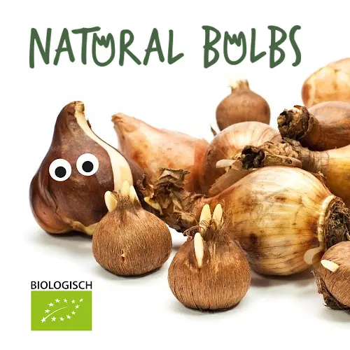 Natural Bulbs | Leidenschaft für eine gesunde Natur