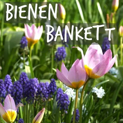 Natural Bulbs | Bienenfreundliche Paketen