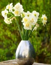 Narcissus Bridal Crown - BIO-2