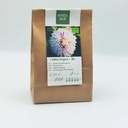 Dahlia Avignon - BIO