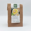 Dahlia Seattle - BIO