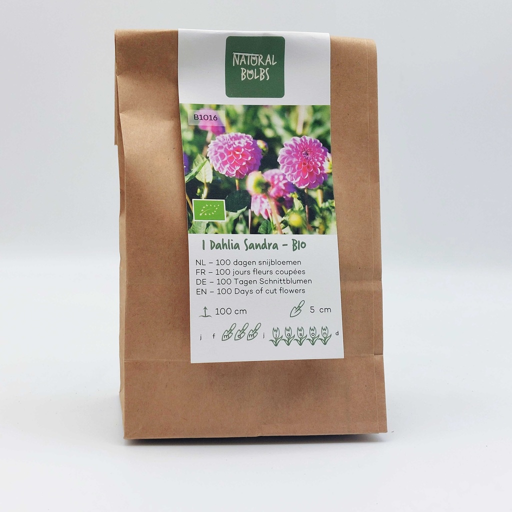 Dahlia Sandra - BIO