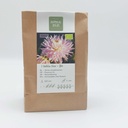 Dahlia Kiev - BIO