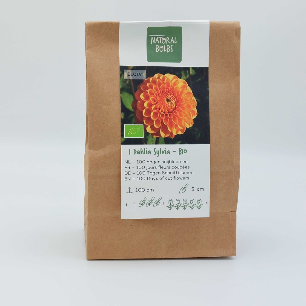 Dahlia Sylvia - BIO