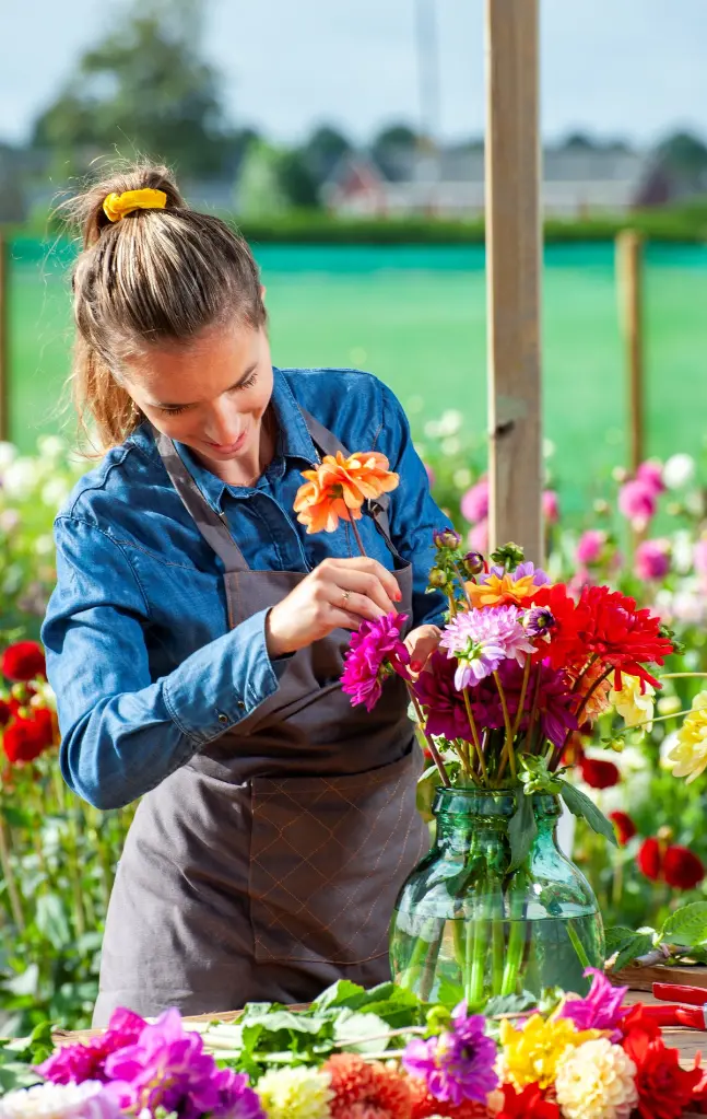 Dahlia-Mix (ibulb 247008).webp