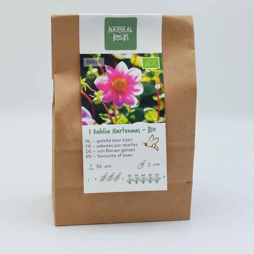 Dahlia Hartenaas - BIO