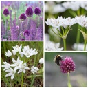 Bienenbankett heißes Karamell - BIO