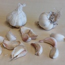 Knoblauch Vallelado - BIO
