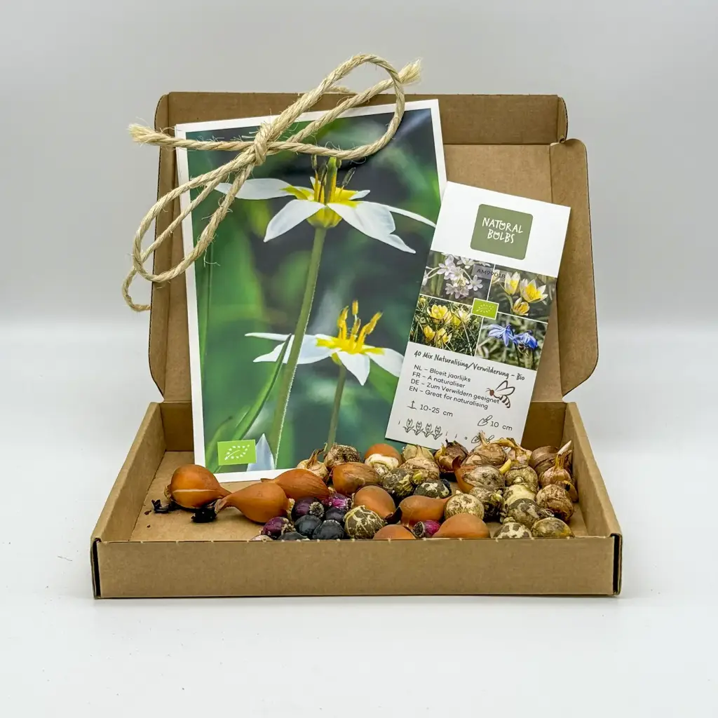 Geschenk Verwilderungsmischung 40 ST- BIO
