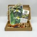 Geschenk Verwilderungsmischung 40 ST- BIO