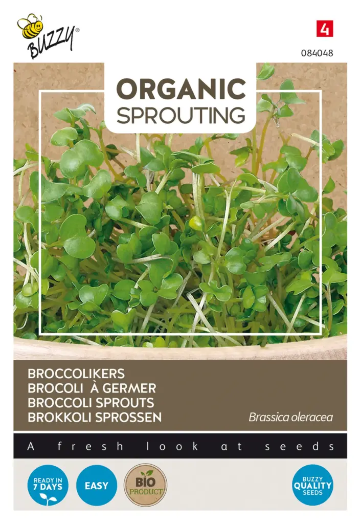 Brokkolisprossen - Sprossen - BIO