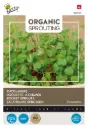 Rucola Kresse - Sprossen - BIO