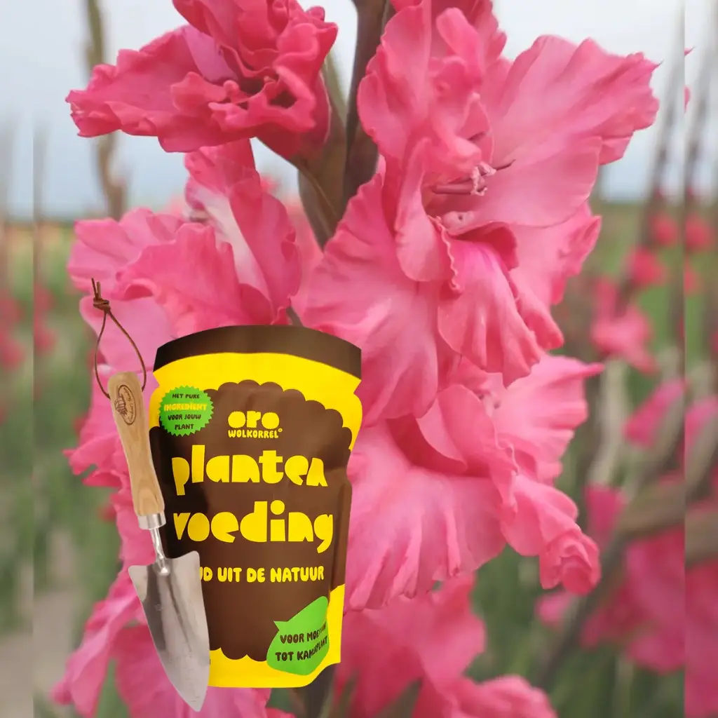 Komplettes Geschenkset für Mama - BIO
