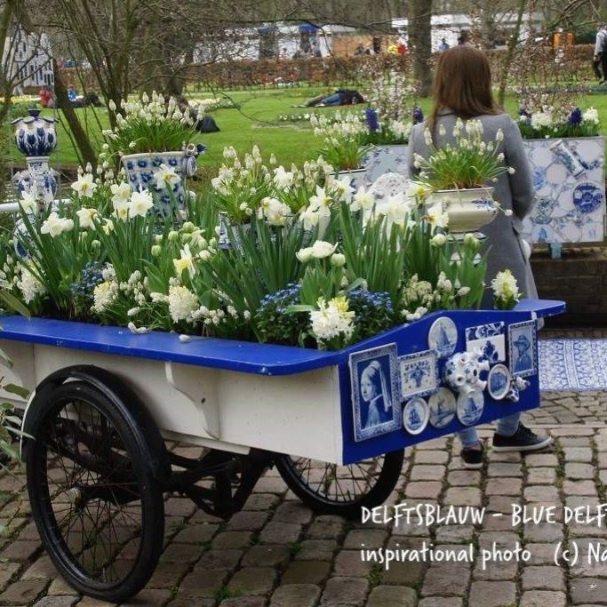 Delft Blaue Garten 40 ST - BIO
