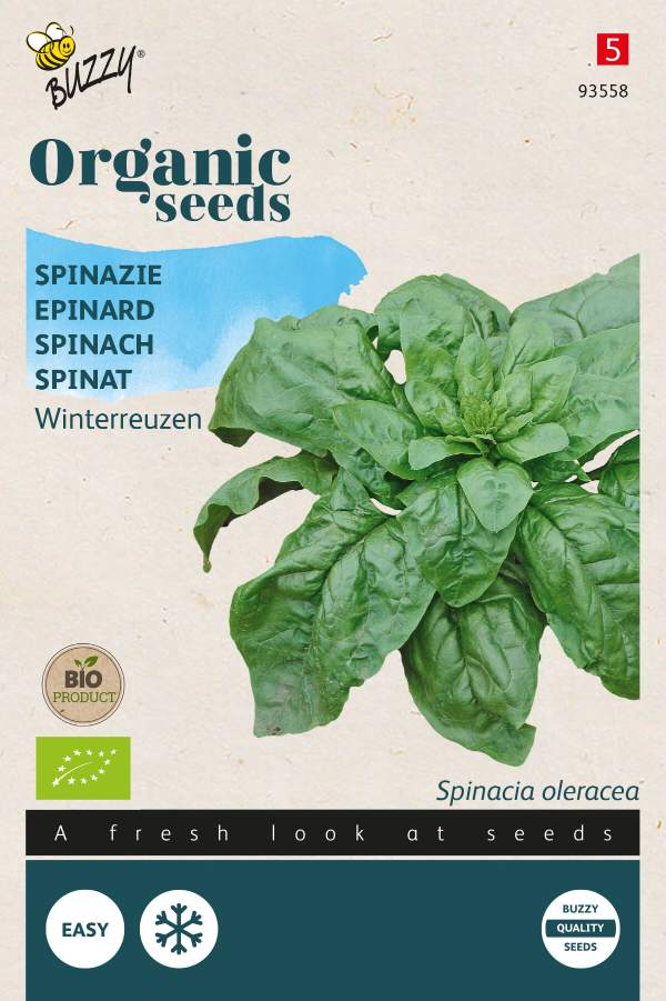Spinat Winterreuzen - BIO