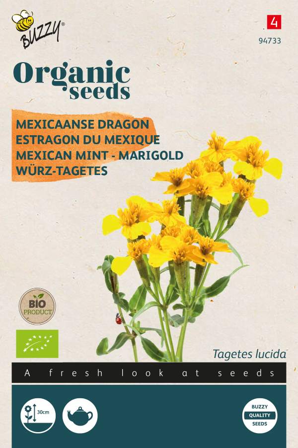 Würz-Tagetes - BIO