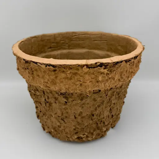 [VNCCarlineP23] Natural Collection Blumentopf Carline 5L