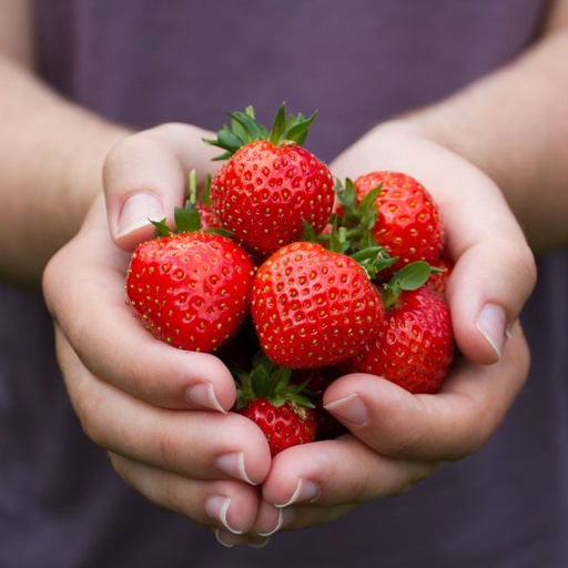 [B8074-Moeder] Glückliche Erdbeeren, Mama - BIO