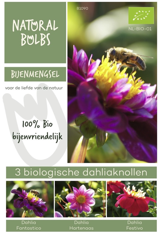 [B1090] Dahlien Bienenbeutel 3 ST - BIO